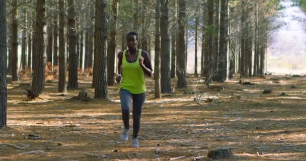 Vrouwelijke Jogger Uitgevoerd Het Bos Een Zonnige Dag — Stockvideo