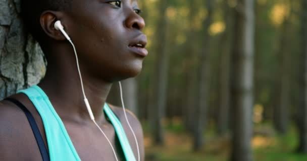 Close Woman Leaning Tree Forest — Stock Video