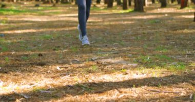 Güneşli bir günde 4 k ormanda koşu kadın