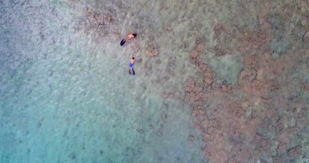 Vista Aérea Casal Snorkeling Mar — Vídeo de Stock