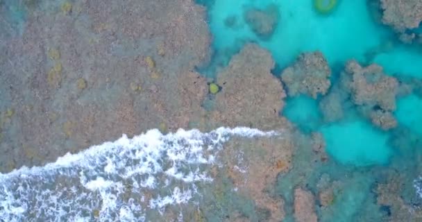 Aerial View Shallow Tropical Sea — Stock Video