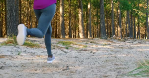 Vista Trasera Atleta Femenina Corriendo Bosque — Vídeo de stock