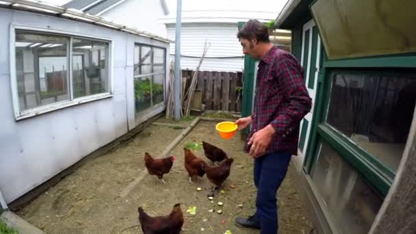 Fermier Mâle Nourrissant Des Poules Dans Poulailler — Video