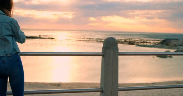 Young Woman Standing Railings Beach — Stock Video