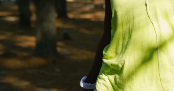 Női Kocogó Nyújtás Erdőben Egy Napsütéses Napon — Stock videók