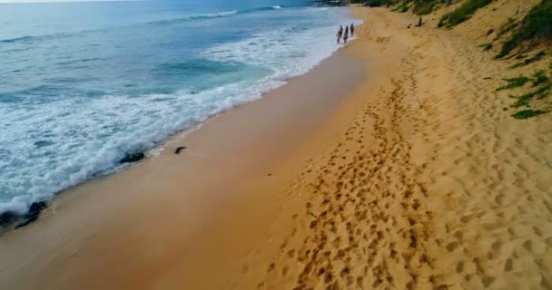 阳光明媚的一天 游客们在海滩上享受4K — 图库视频影像