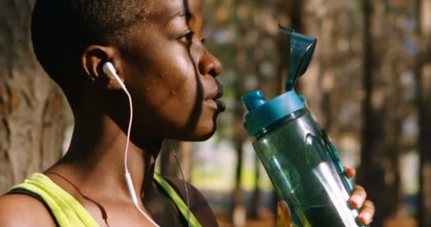 Vrouwelijke Jogger Drinkwater Het Bos Een Zonnige Dag — Stockvideo