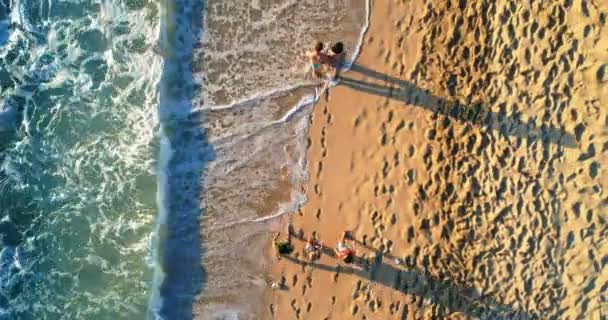 Aerial View Tourists Walking Beach — Stock Video