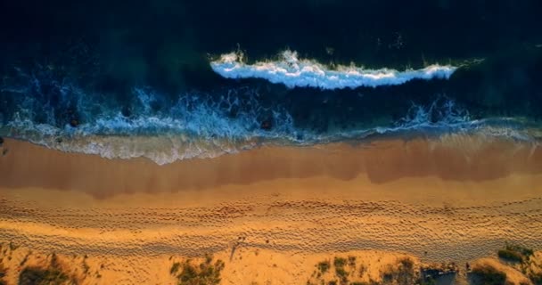 Luftaufnahme Des Malerischen Sandstrandes Meeresufer — Stockvideo