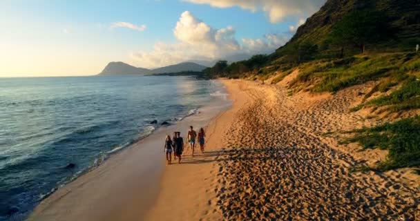 Touristes Marchant Sur Plage Coucher Soleil — Video