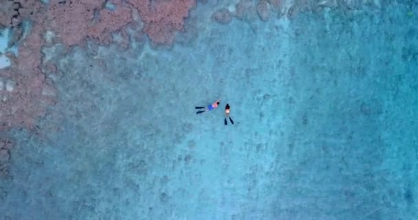 Letecký Pohled Pár Šnorchlování Moři — Stock video