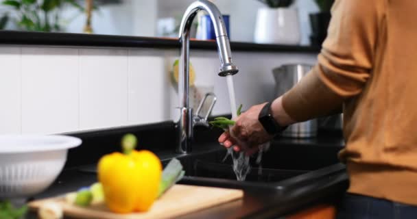 Uomo Che Lava Verdure Con Acqua Davanti Rubinetto Cucina — Video Stock