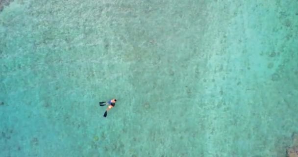 Αεροφωτογραφία Του Ζευγάρι Ψαροντούφεκο Στη Θάλασσα — Αρχείο Βίντεο