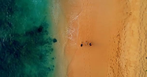 Aerial View Tourists Walking Beach — Stock Video