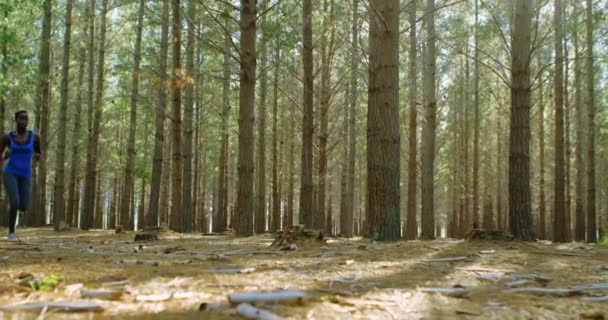 妇女慢跑的低角度看法在森林4K — 图库视频影像