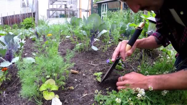 Young Man Gardening Backyard — Stock Video