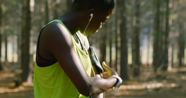 Θηλυκό Jogger Προσαρμογή Μπάντα Του Βραχίονα Στο Δάσος Ηλιόλουστη Ημέρα — Αρχείο Βίντεο