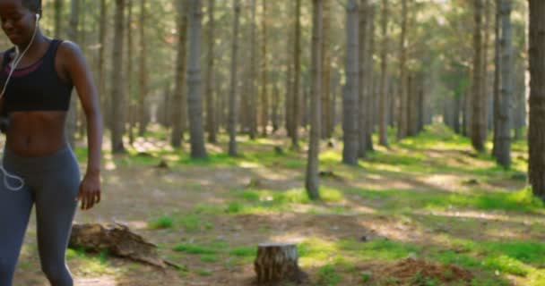 Θηλυκό Jogger Χρησιμοποιώντας Κινητό Τηλέφωνο Ενώ Τρέξιμο Στο Δάσος — Αρχείο Βίντεο