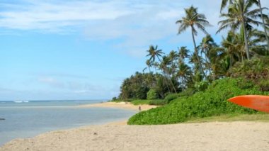 Komuta sizde surfboard Beach 4 k ile ayakta