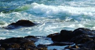 Dalgalar üzerinde rock iyon deniz güneşli bir günde 4 k sıçramasına.