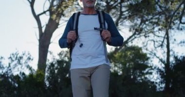 Güneşli bir günde 4 k ormanda hiking etkin komuta sizde
