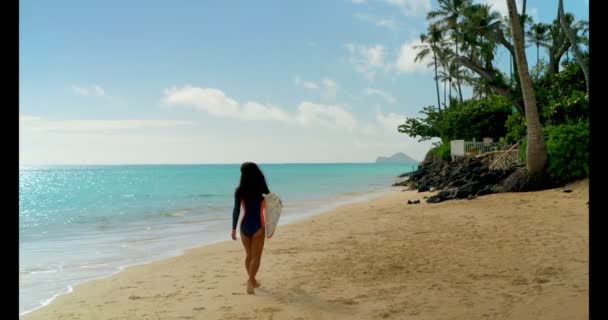 ビーチ にサーフボードを抱えて歩いて女性サーファーの背面図 — ストック動画