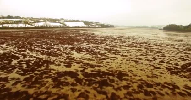 Vue Aérienne Beau Lit Inondé Rivière Dans Nature — Video