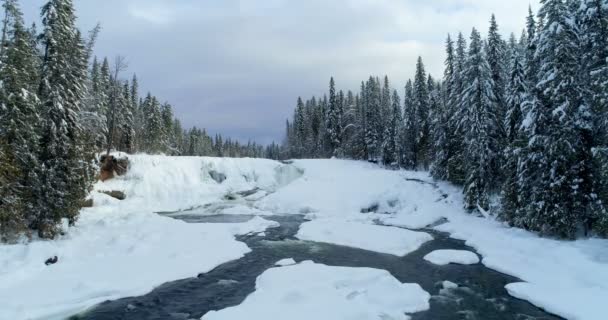 Flusso Che Scorre Attraverso Foresta Innevata Durante Inverno — Video Stock