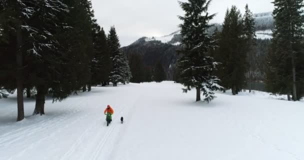 Hombre Con Perro Bicicleta Bosque Nevado Durante Invierno — Vídeos de Stock