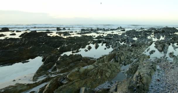 Bella Spiaggia Rocciosa Con Bacini Acqua Crepuscolo — Video Stock