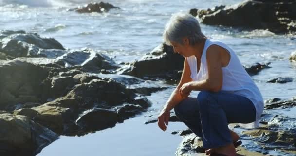 Senior Woman Sitting Rock Side Sunny Day — Stock Video