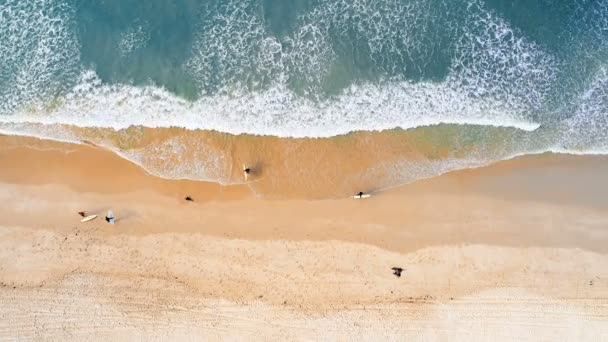 Aerial view of surfers walking on the beach 4k — Stock Footage Aerial View Surfers Walking Beach Royalty Free Stock Video