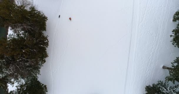 Вид Воздуха Человека Собакой Гуляющего Снежному Лесу Зимой — стоковое видео