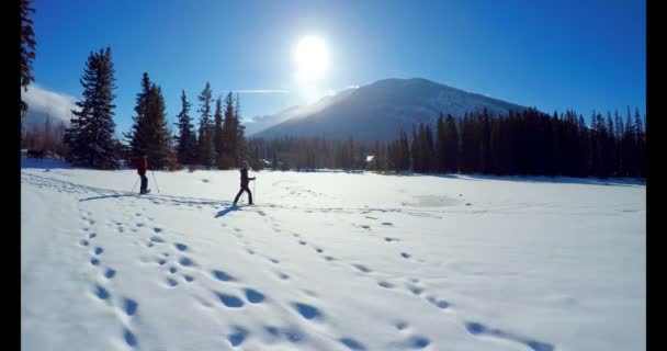 を冬の間に雪の風景の上を歩いてスキーヤー カップル — ストック動画