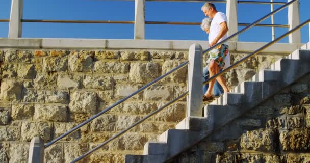 Pareja Mayor Caminando Abajo Cerca Playa Día Soleado — Vídeos de Stock