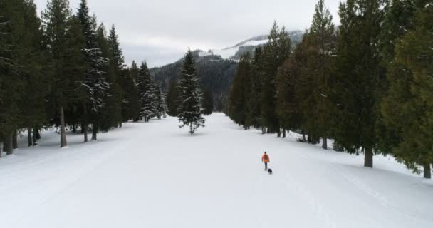 Uomo Con Cane Che Cammina Sulla Foresta Innevata Durante Inverno — Video Stock