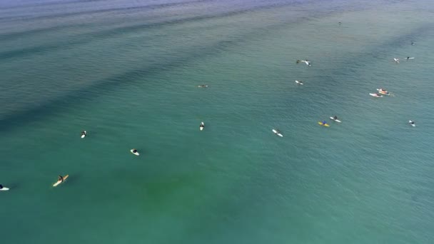 Aéreo Turistas Surfeando Mar — Vídeo de stock