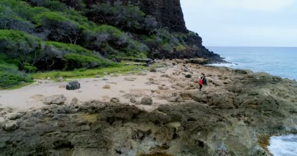 のんきな夫婦岩の海の上を歩いて海岸 — ストック動画