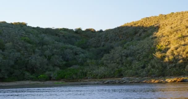 美丽的河和山植被在阳光下的乡村 — 图库视频影像