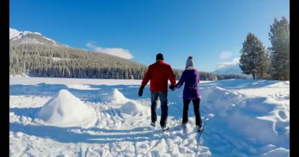 Pár Bruslení Zasněženou Krajinu Zimě — Stock video