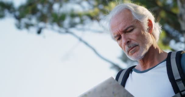 Hombre Mayor Mirando Mapa Bosque Día Soleado — Vídeos de Stock