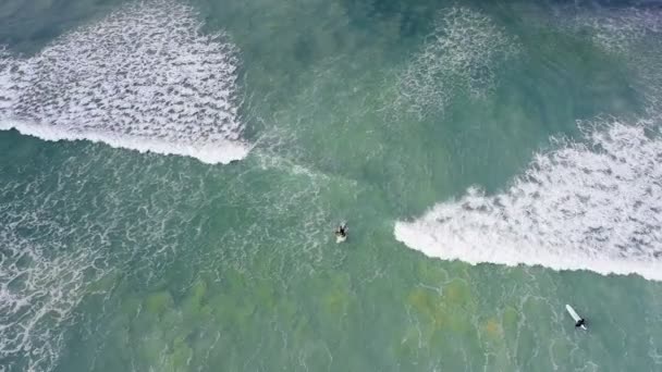 在海上冲浪的游客空中4K — 图库视频影像