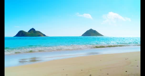 Hermosa Playa Mar Con Olas Onduladas — Vídeo de stock