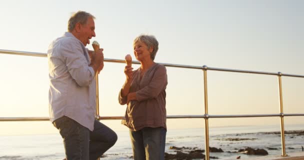 Seniorenpaar Isst Einem Sonnigen Tag Eis Der Promenade — Stockvideo