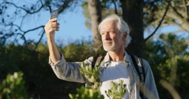 Komuta sizde selfie cep telefonu ile kırsal güneşli bir günde 4 k alarak.