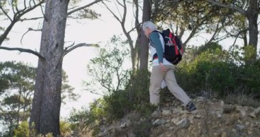 Güneşli bir günde 4 k ormanda hiking etkin komuta sizde