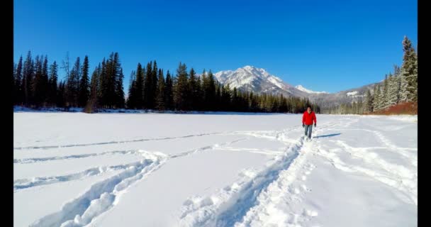 Homem Caminhando Paisagem Nevada Durante Inverno — Vídeo de Stock