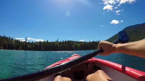 Femme Kayak Rivière Par Une Journée Ensoleillée — Video