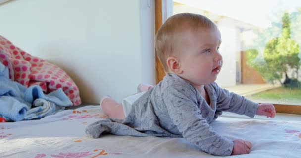 Porträt Eines Babys Das Hause Auf Dem Sofa Liegt — Stockvideo