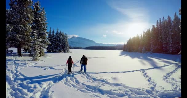 Skiër Paar Lopen Besneeuwde Landschap Winter — Stockvideo